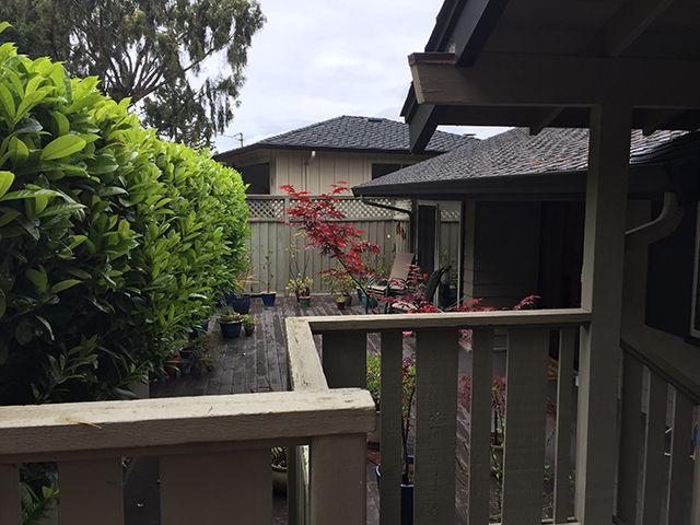 Before Photo 2